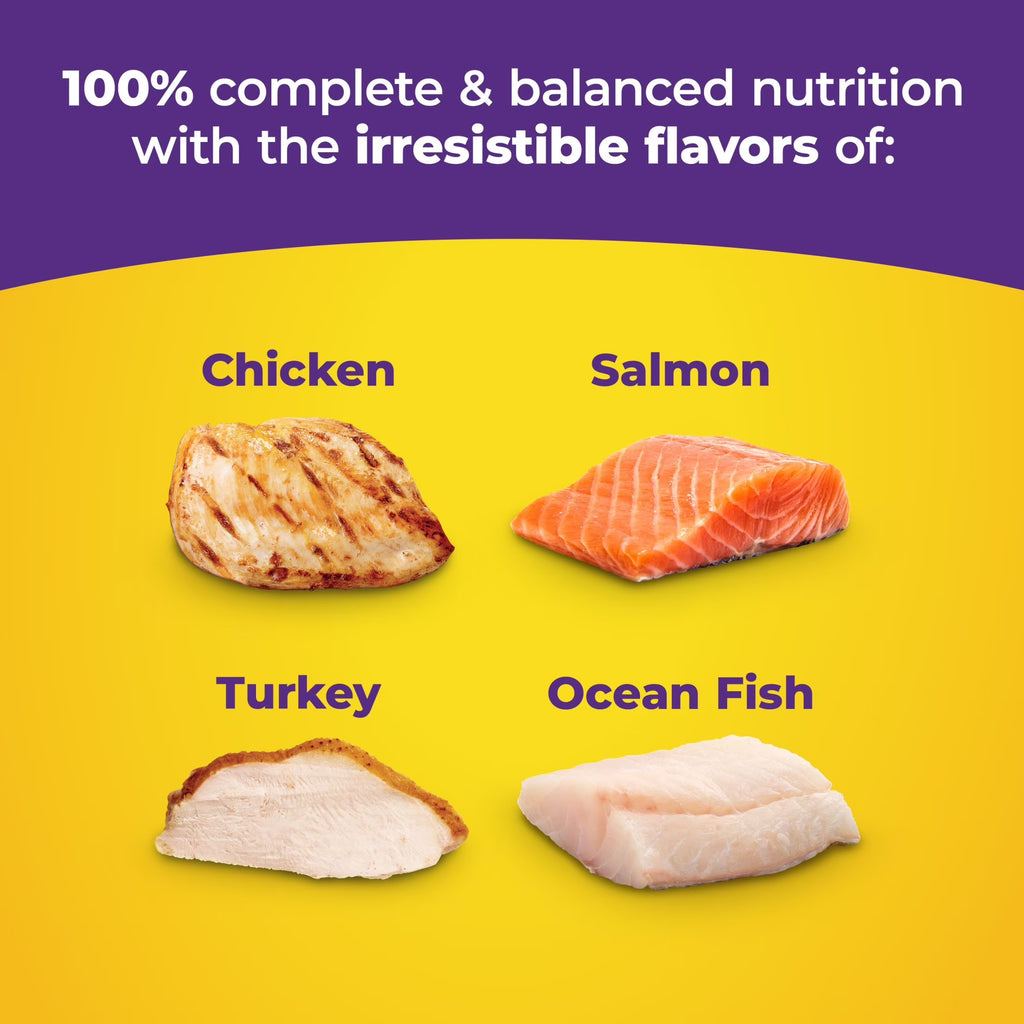 Original Choice Dry Cat Food, All Life Stages, Chicken, Turkey, Salmon & Ocean Fish Flavors, 30 Lb Bag