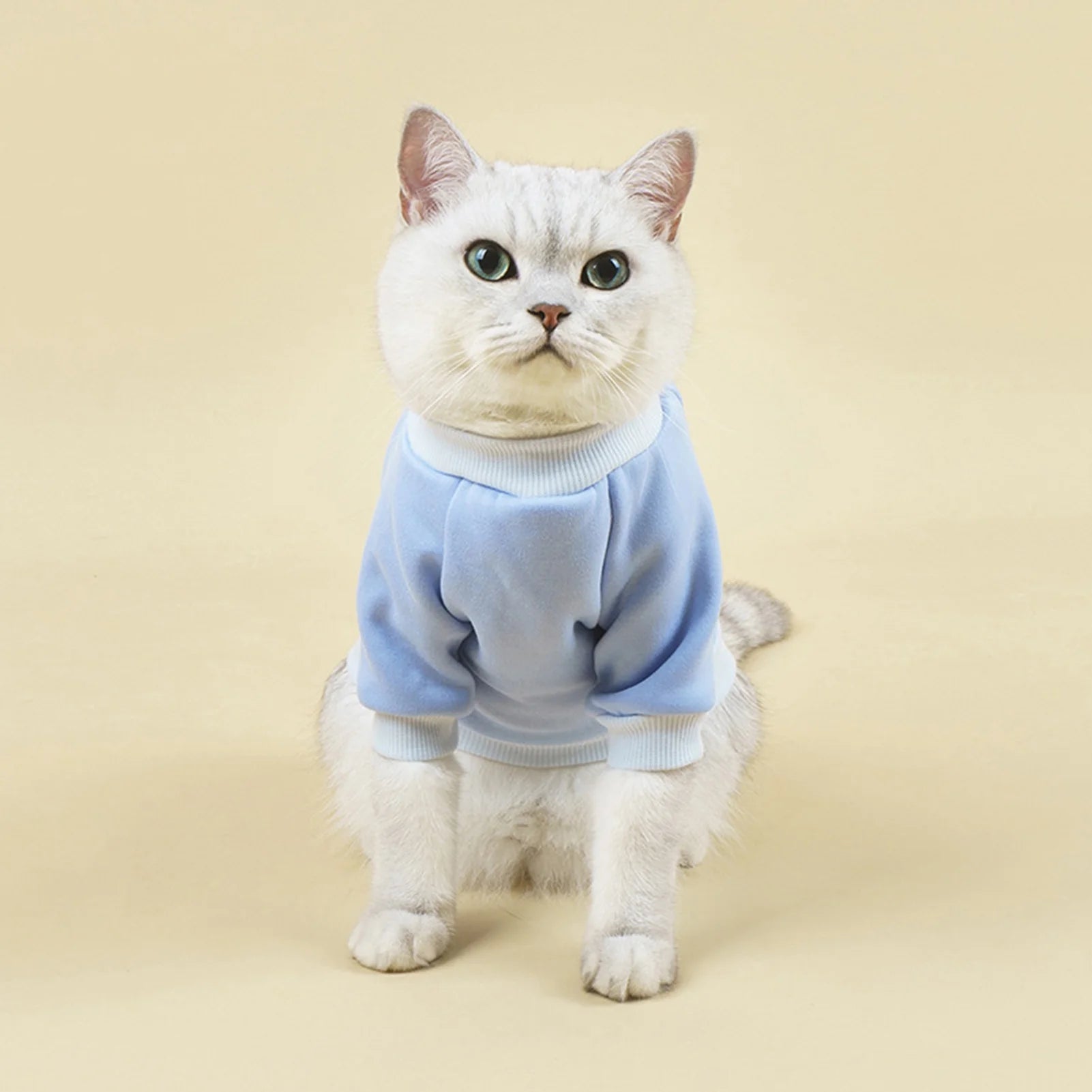 Dog Sweaters for Small Dogs, Cute Dog Clothes Classic Warm Pet Sweaters for Dogs Girls Boys, Cat Sweater Dog Sweatshirt Winter Coat Apparel for Small Dog Puppy Kitten Cat((Pink, L)