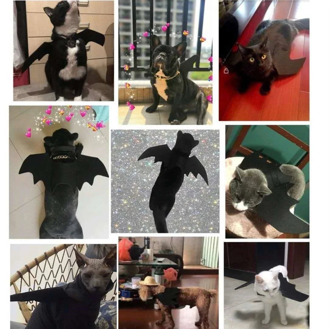 Adjustable Pet Costume Collar - Bat-Themed Dress up Accessories for Cats & Dogs, Halloween Party Decoration