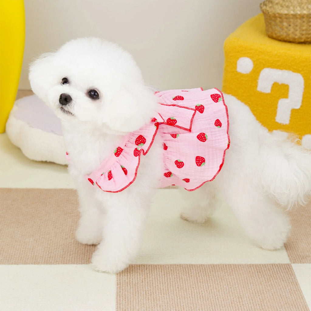 Summer Pet Dresses for Small Dogs Female, Spring Dog Clothes with Strawberry Print Puppy Princess Cat Apparel(Pink,Xl)