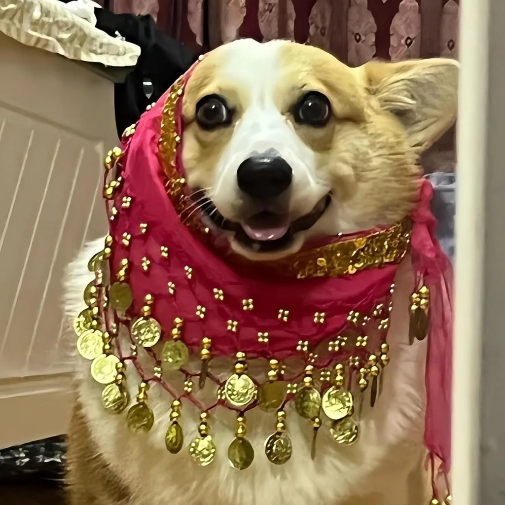Dog Belly Dancer Skirt, Bling Belly Dance Hip Scarf for Corgis Dog Waist Wrap with Sequins Adjustable Puppy Pet Dancing Dress Costumes for Halloween Parties Celebration Performance (Pink)-Dh