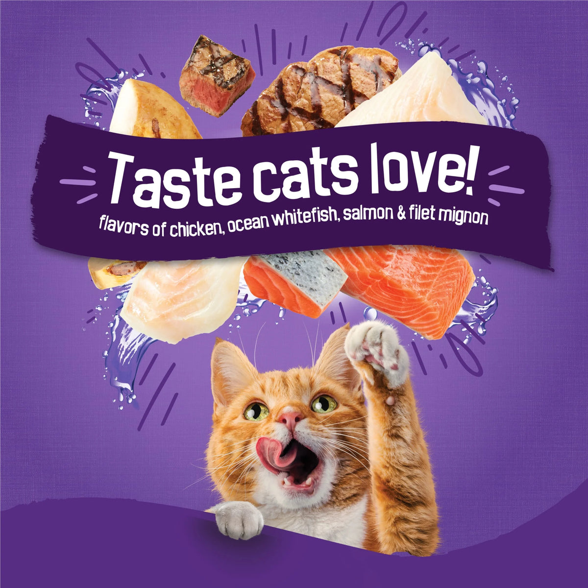 Purina Friskies Surfin and Turfin Favorites Dry Cat Food Flavors of Chicken, Whitefish, Salmon and Filet Mignon, 16 Lb Bag