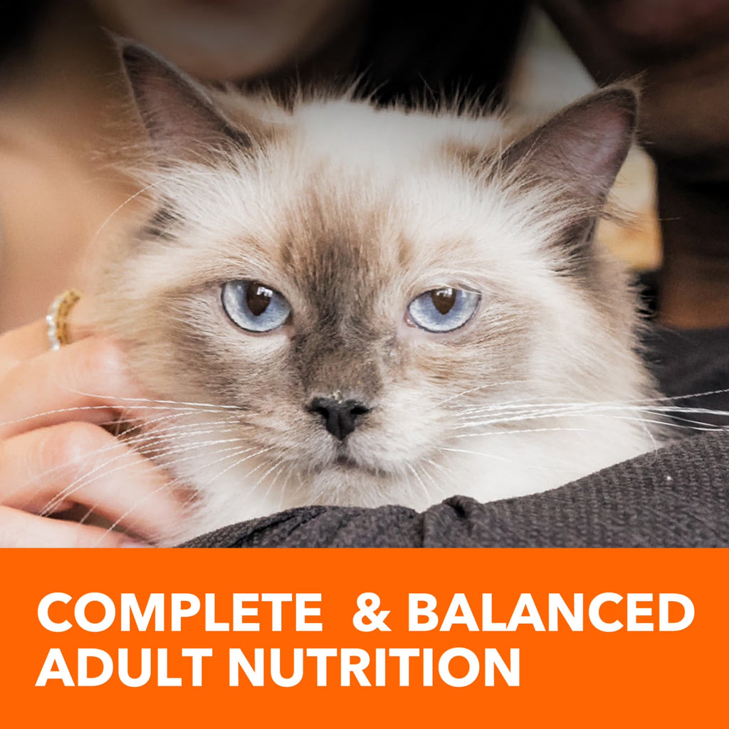 Proactive Health Chicken Dry Cat Food, 7 Lb Bag