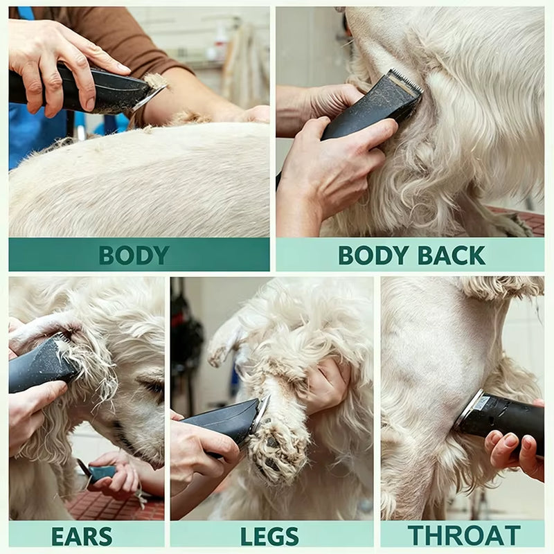 Premium Wadisino A5 Series Stainless Steel Dog Clipper Blade - Professional Grooming Replacement