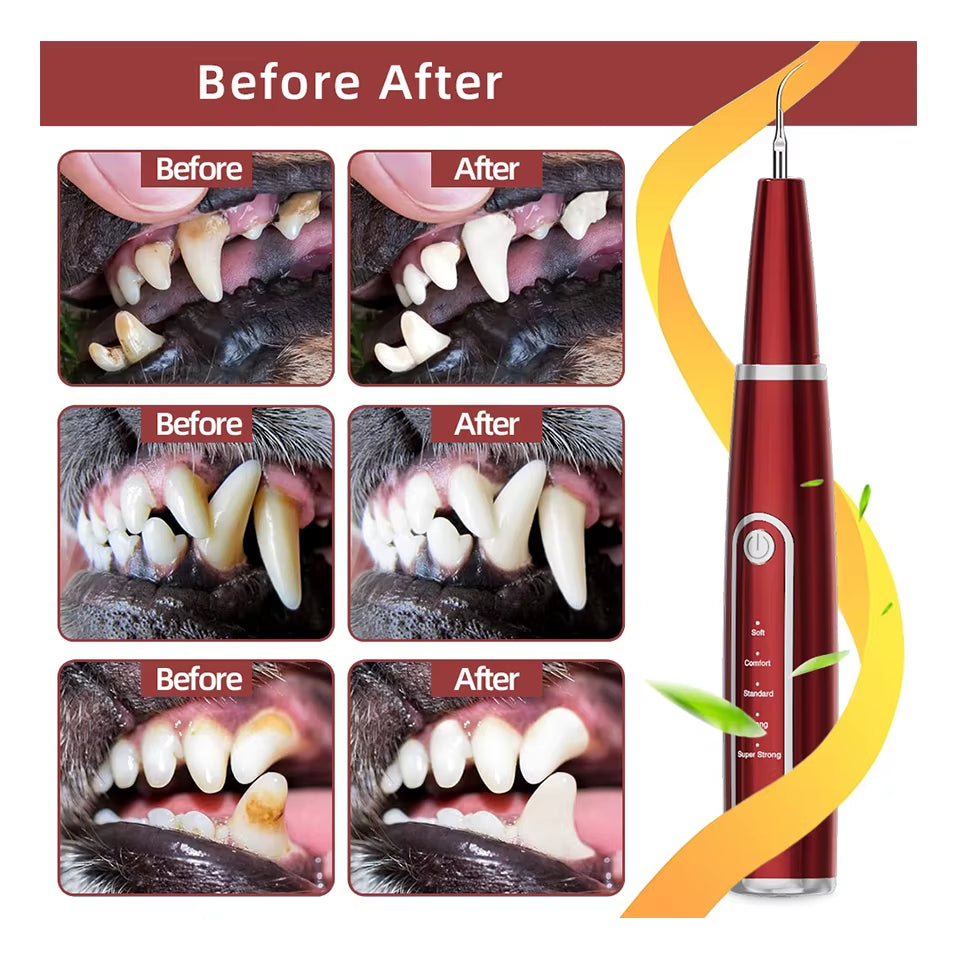Ultimate Dog Tooth Brushing Kit - Waterproof Electric Cleaner for Plaque & Tartar Removal