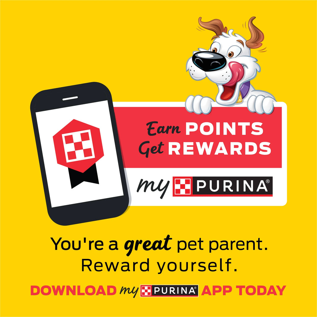 Purina  Strips with Real Meat Dog Treats, Thick Cut Hickory Smoke Flavor