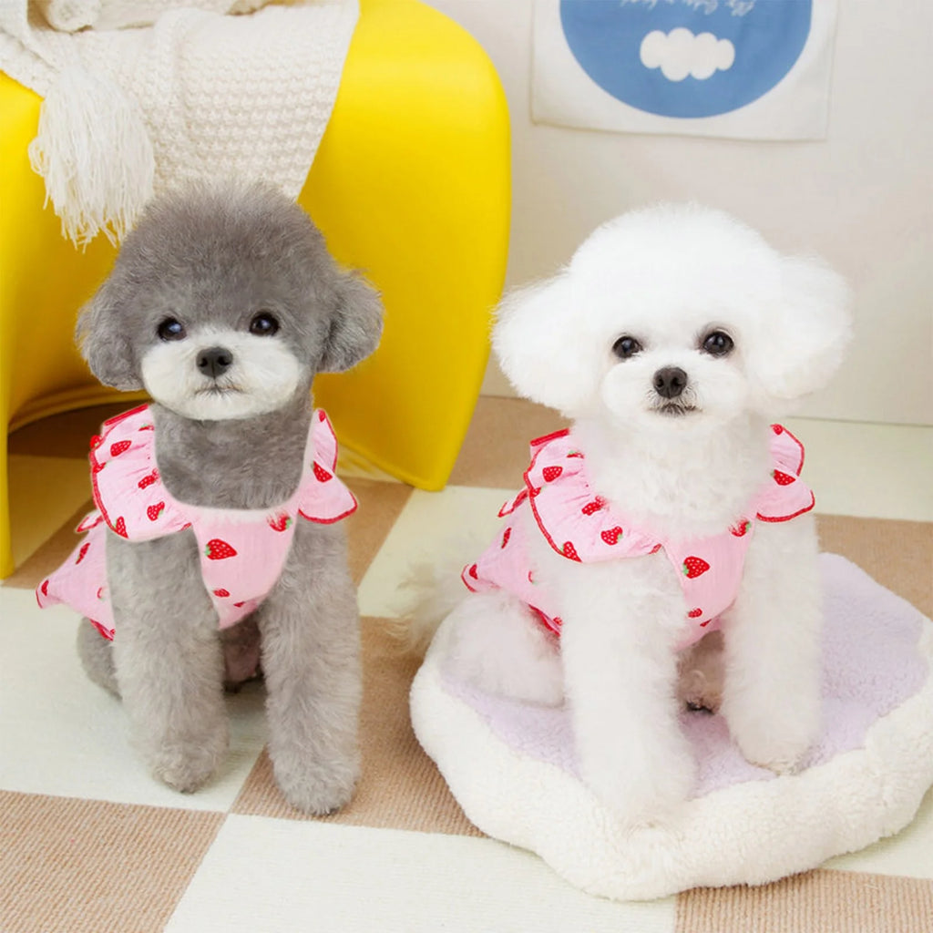 Summer Pet Dresses for Small Dogs Female, Spring Dog Clothes with Strawberry Print Puppy Princess Cat Apparel(Pink,Xl)