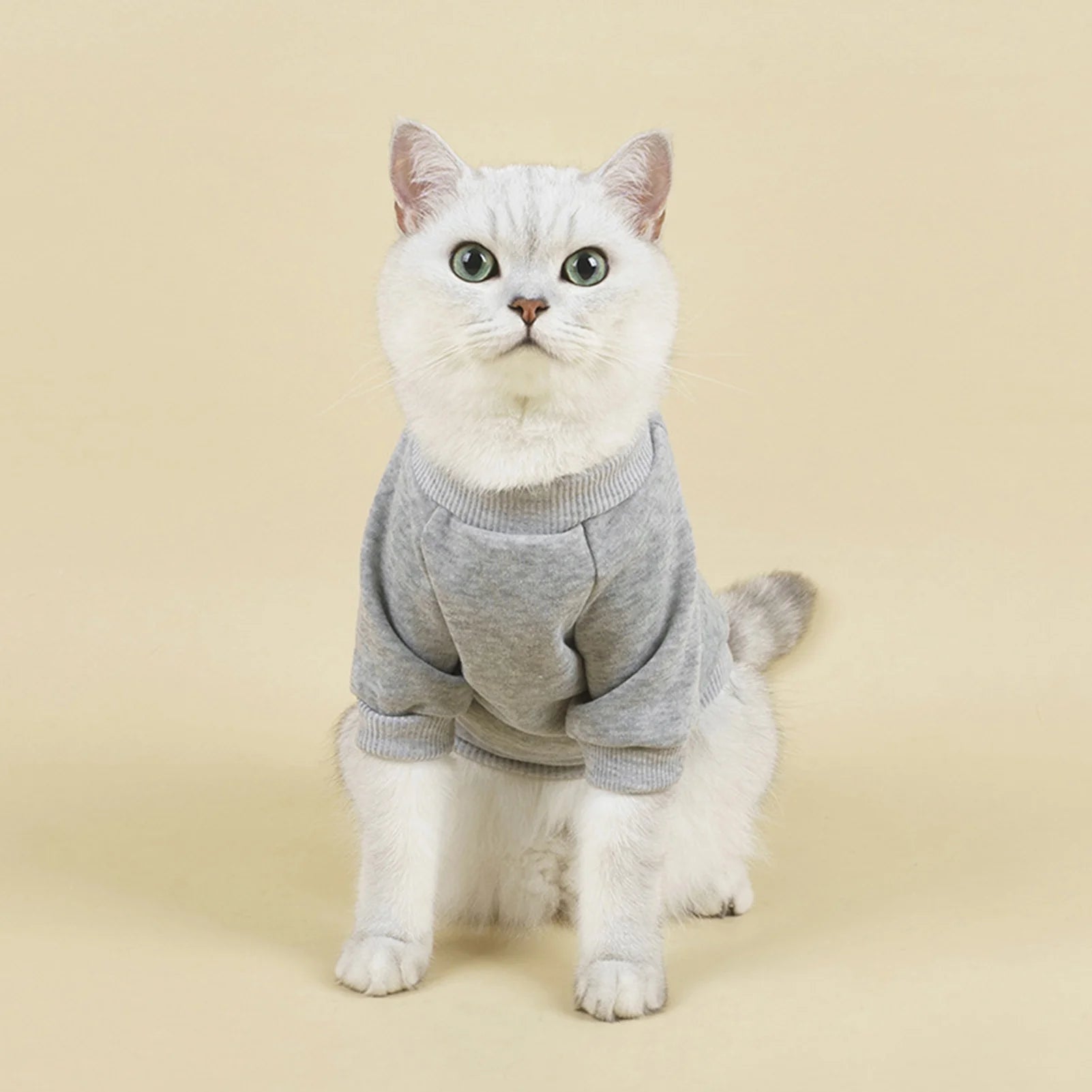 Dog Sweaters for Small Dogs, Cute Dog Clothes Classic Warm Pet Sweaters for Dogs Girls Boys, Cat Sweater Dog Sweatshirt Winter Coat Apparel for Small Dog Puppy Kitten Cat((Pink, L)