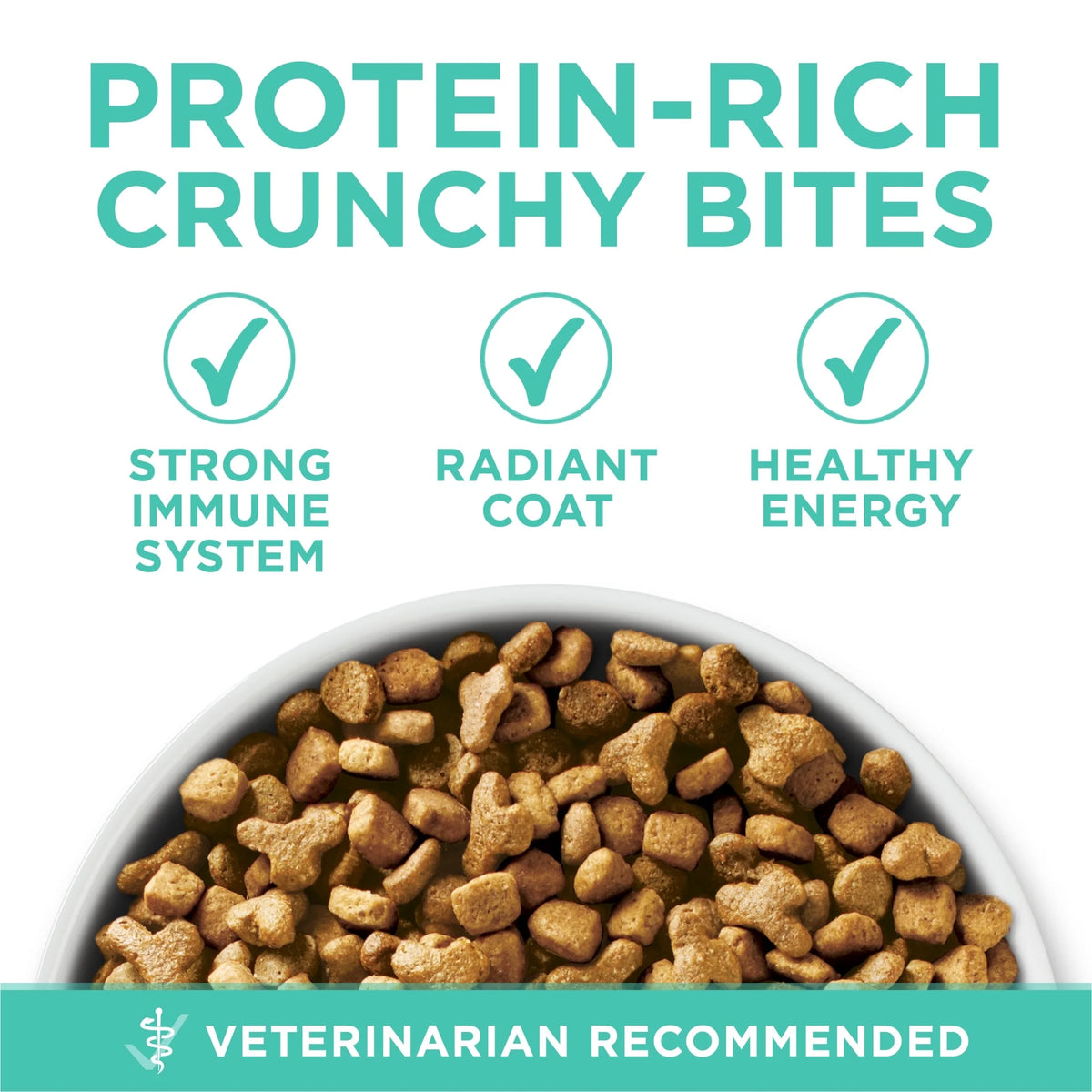 Sensitive Stomach, Sensitive Skin, Natural Dry Cat Food, +Plus Sensitive Skin and Stomach Formula, 3.5 Lb. Bag
