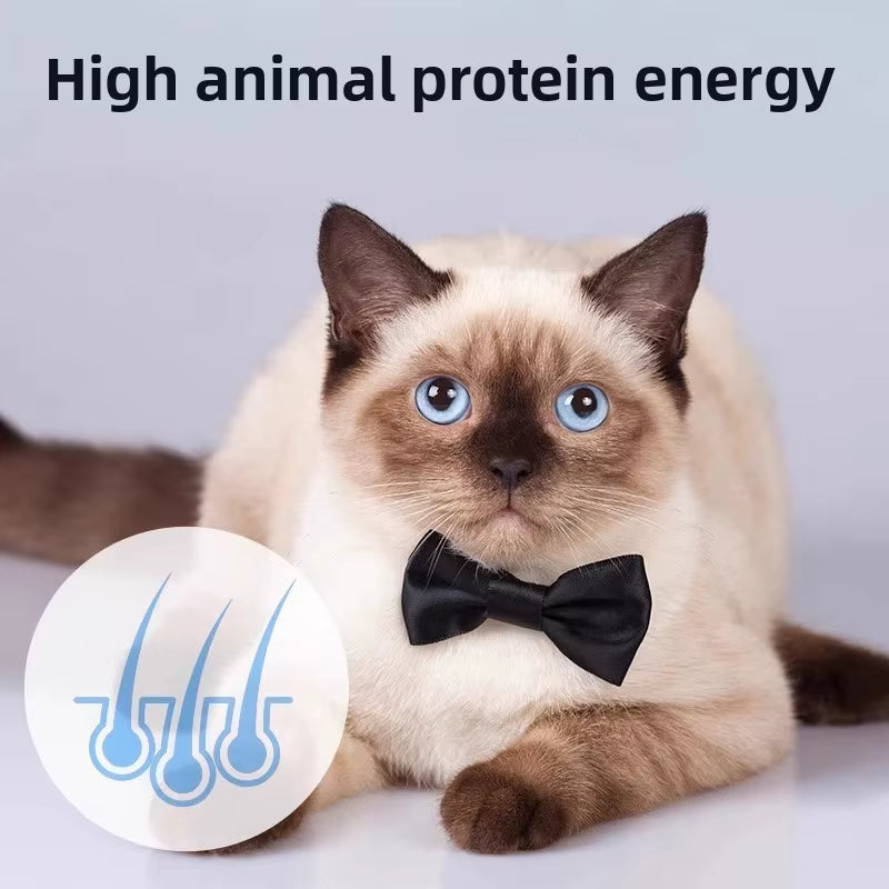 Master Yisa Ji High-Protein Chicken Dry Food for Large Breed Kittens and Pregnant Cats - 2.5Kg Eco-Friendly Pack