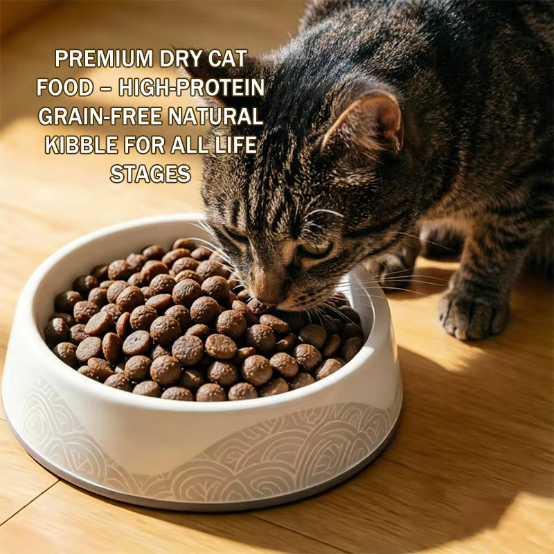 Mofeedy OEM ODM High Meat Complete Nutrition Dry Cat Food for All Life Stages 