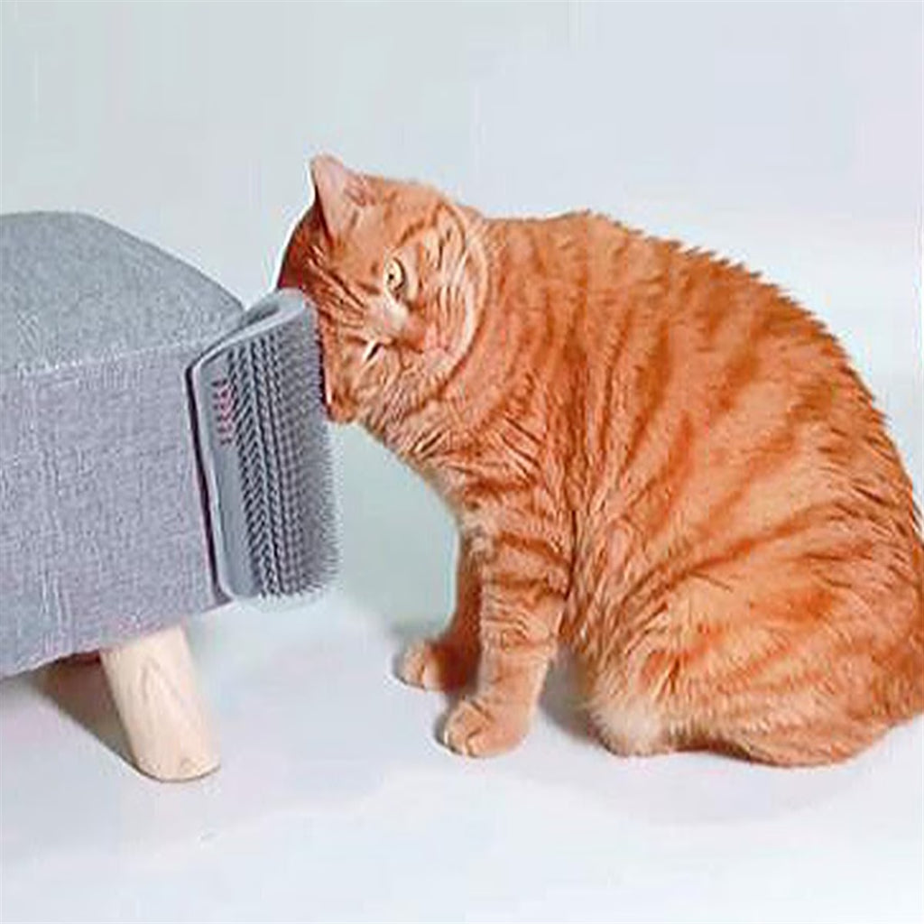 Extended (6.1Inch) 2 Pack Cat Self Groomer for Indoor Cats Face Scratchers Wall Corner Grooming Brush