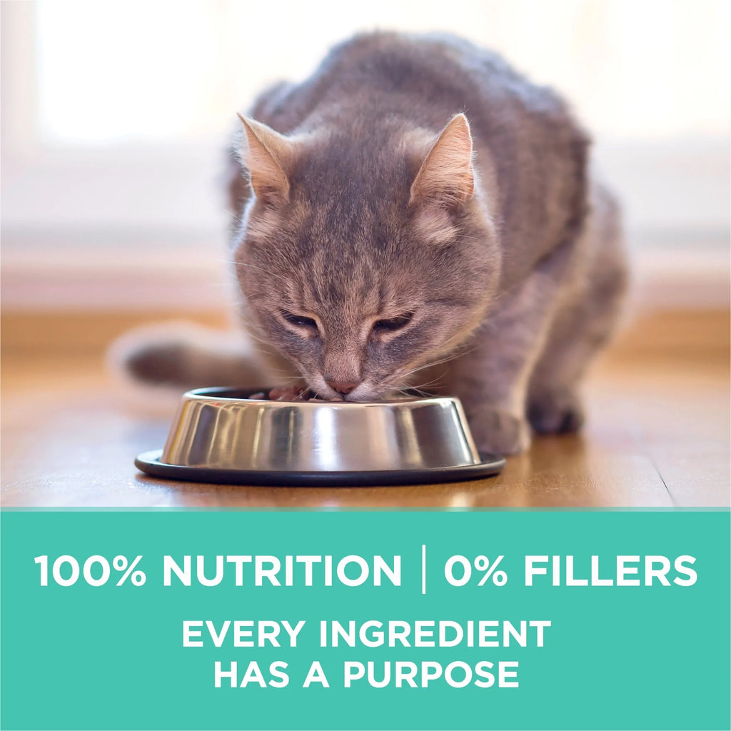 Sensitive Stomach, Sensitive Skin, Natural Dry Cat Food, +Plus Sensitive Skin and Stomach Formula, 3.5 Lb. Bag