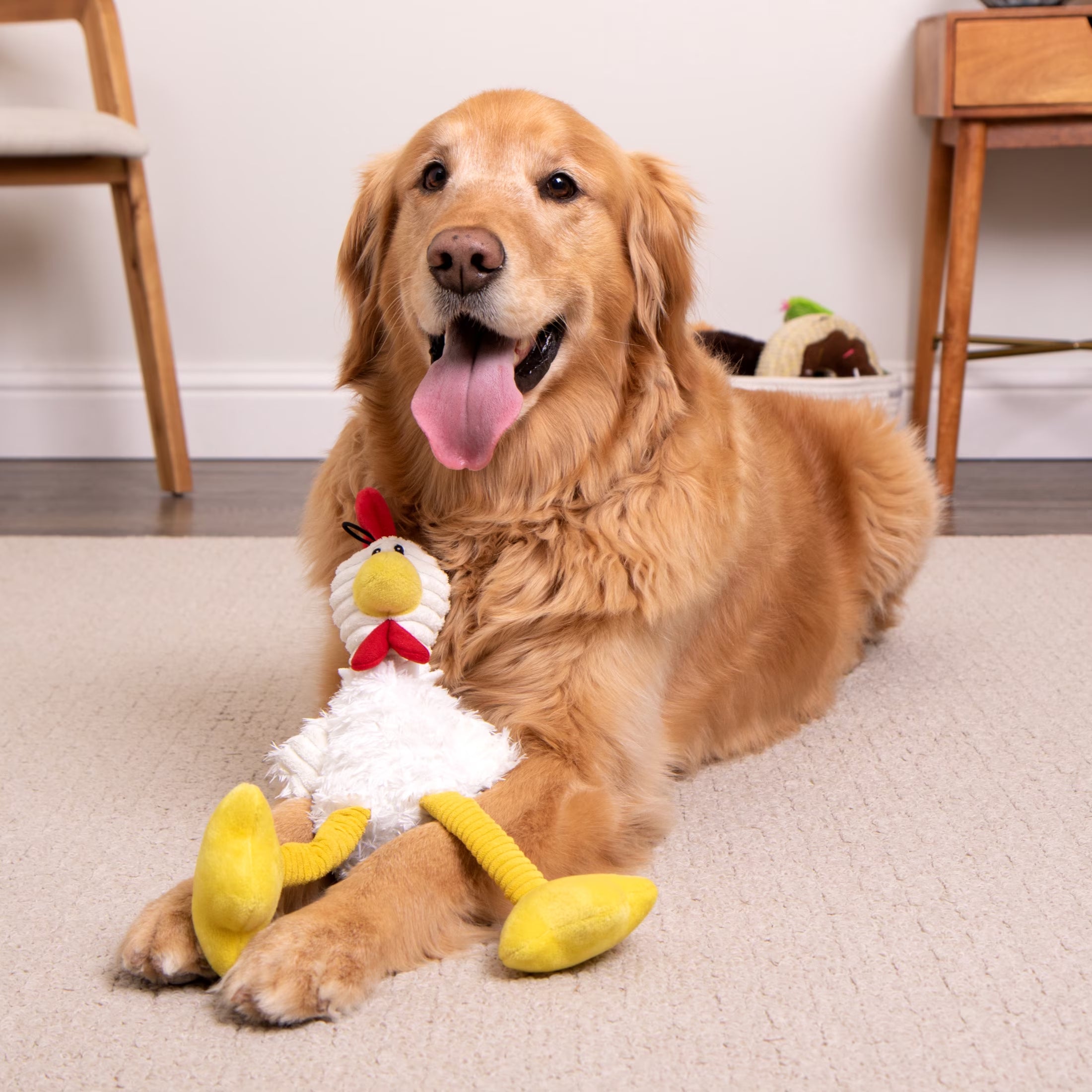 Tall Toes Plush Squeaky Chicken Dog Toy with Chew Guard Technology, White, Large