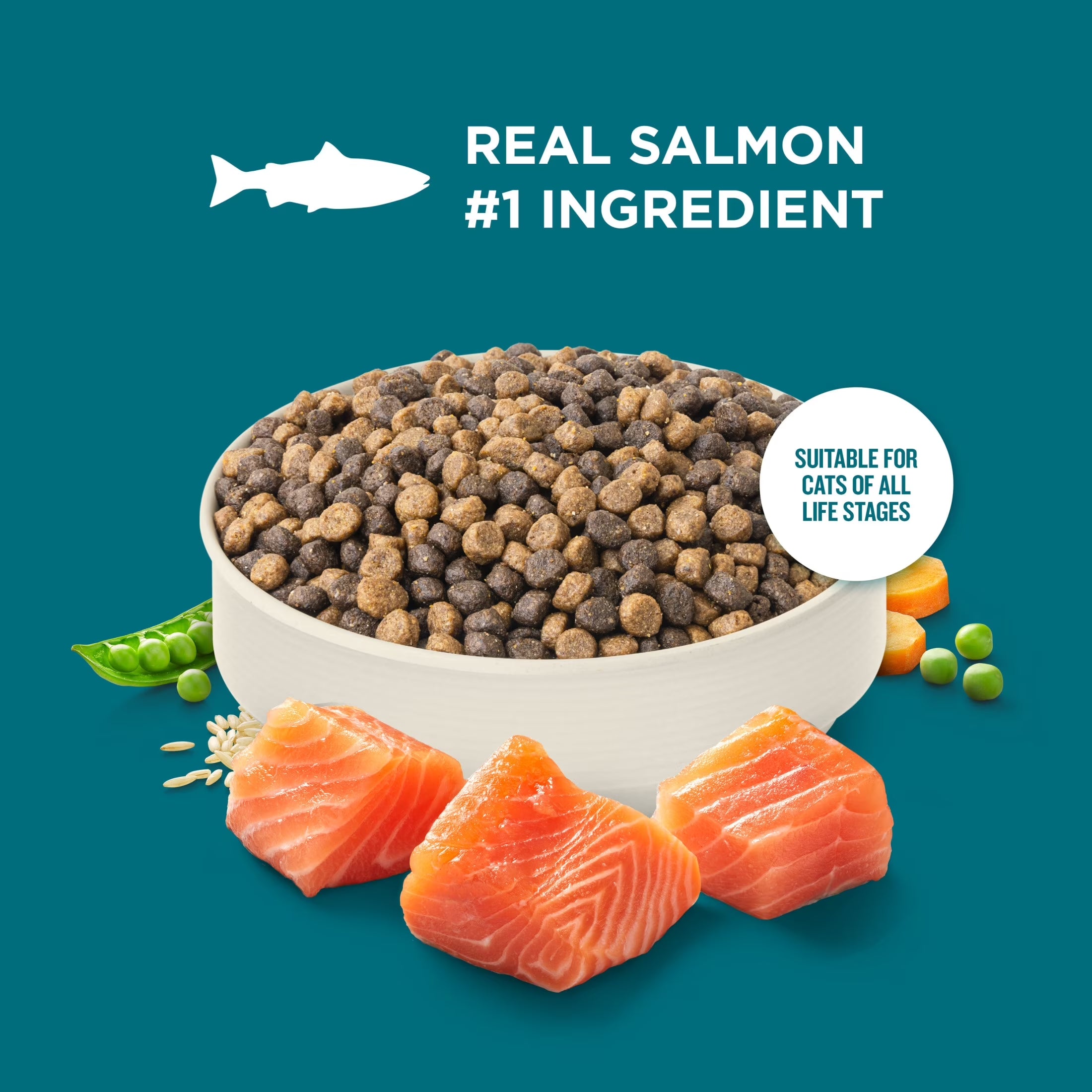 Rachael Ray  Dry Cat Food Real Salmon & Brown Rice Recipe, 5 Lb.