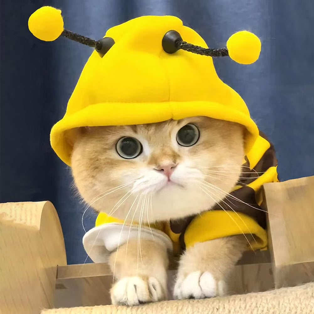 Cat Clothing in Soft Breathable Yellow Polyester, Stylish for Various Occasions, Multiple Sizes Available