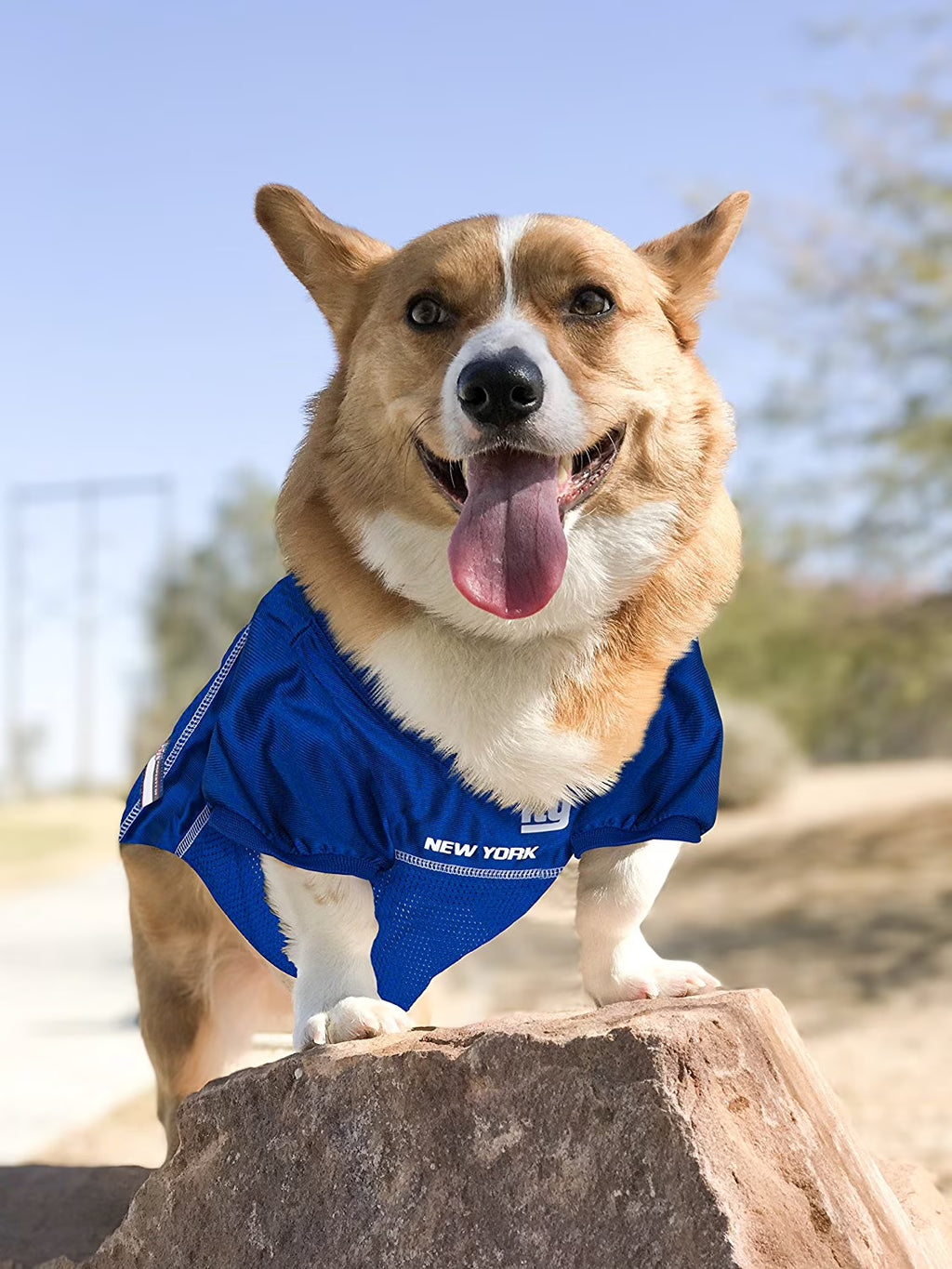 NFL New York Giantslicensed Mesh Jersey for Dogs and Cats - Extra Large