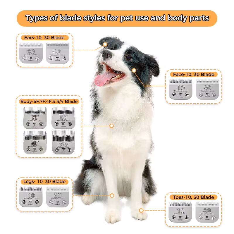 Premium Customized Logo Pet Clipper Replacement Blades - A5 Compatible 3F/4F/5F/7F/10#/30#/40# for Professional Dog Grooming