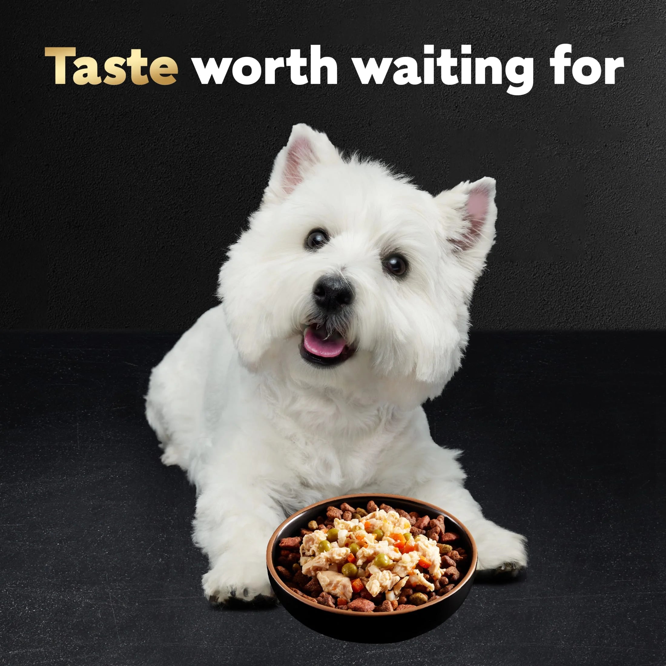 Simply Crafted Chicken and Beef Recipes Variety Pack Dog Food Toppers, 1.3 Oz Tubs (8 Ct)