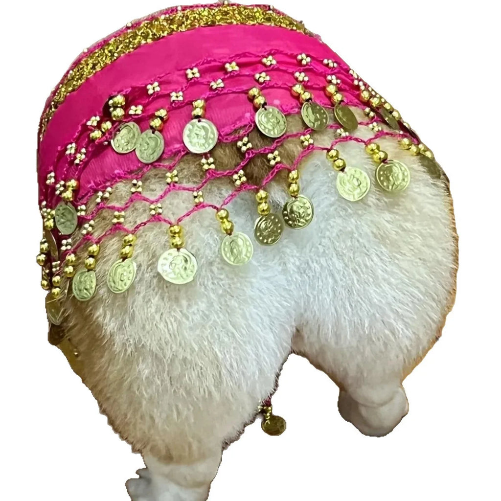 Dog Belly Dancer Skirt, Bling Belly Dance Hip Scarf for Corgis Dog Waist Wrap with Sequins Adjustable Puppy Pet Dancing Dress Costumes for Halloween Parties Celebration Performance (Pink)-Dh