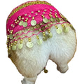 Dog Belly Dancer Skirt, Bling Belly Dance Hip Scarf for Corgis Dog Waist Wrap with Sequins Adjustable Puppy Pet Dancing Dress Costumes for Halloween Parties Celebration Performance (Pink)-Dh