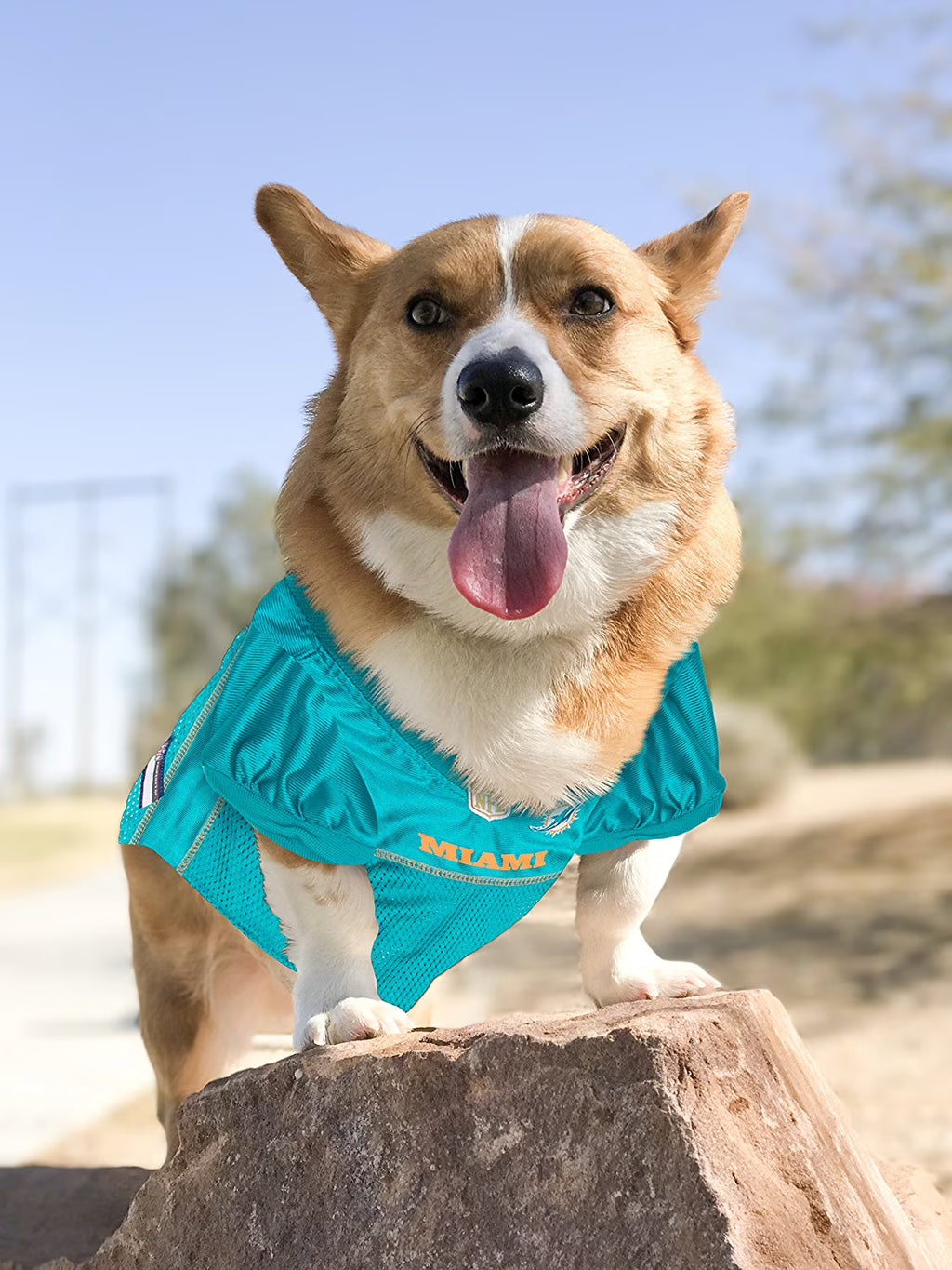 NFL Miami Dolphinslicensed Mesh Jersey for Dogs and Cats - Extra Extra Large