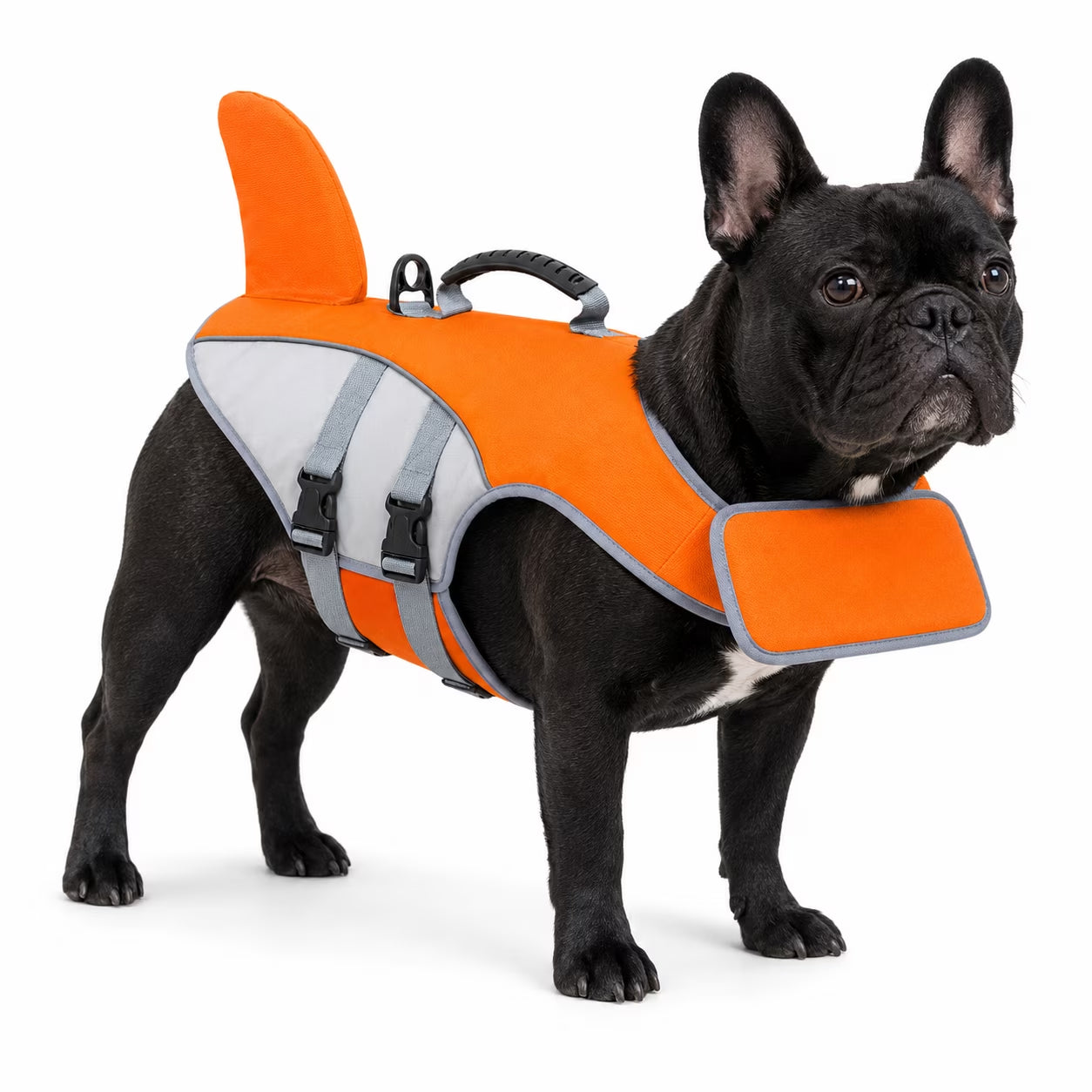 Float Paw Dog Life Jacket with Chin Float Pet Swimming Vest with Rescue Handle Large Dogs Safety Lifesaver Life Vest for Small Medium Large Dogs