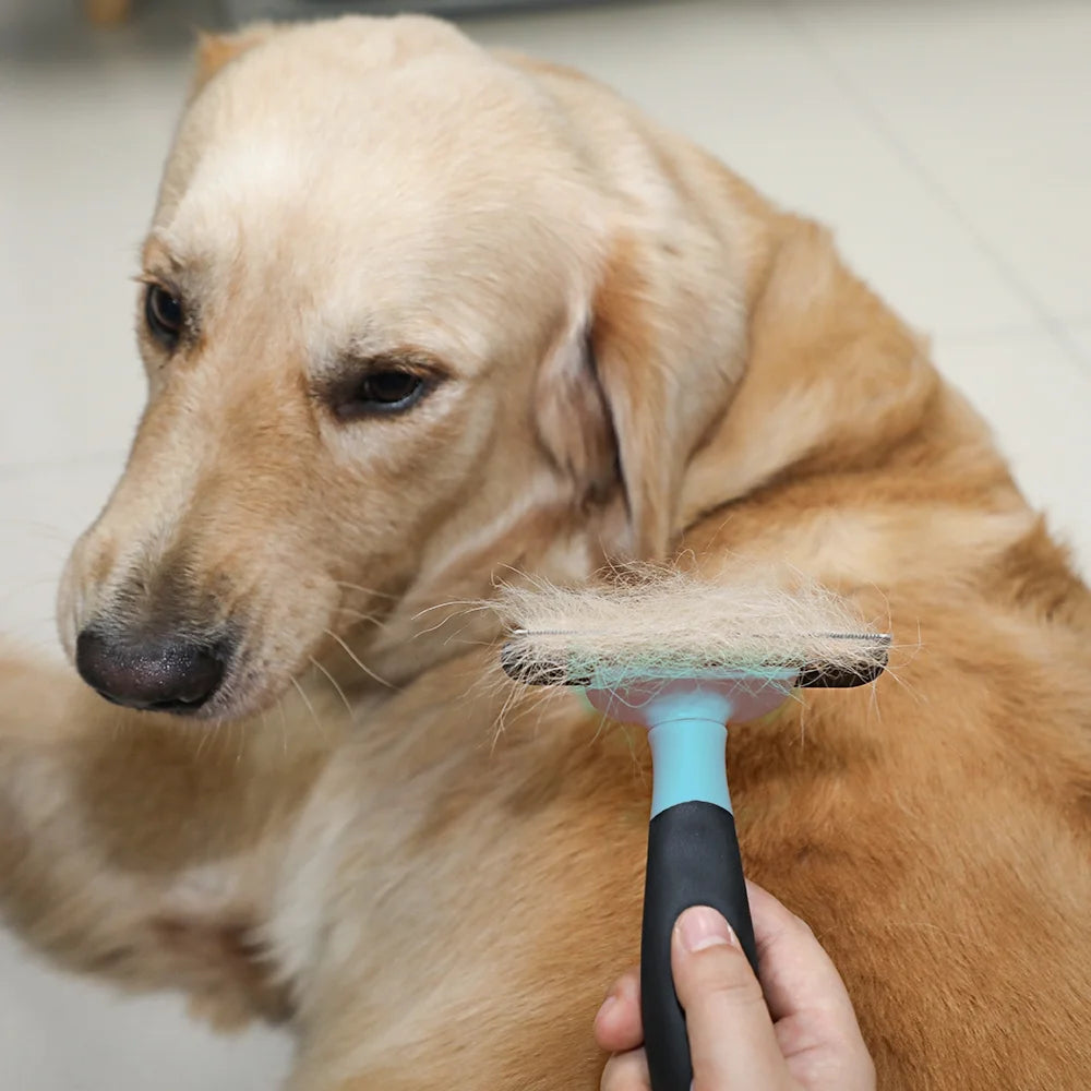 Dog/Cat Grooming Rake, Grooming Tool, Removes Loose Hair and Tangles, Blue