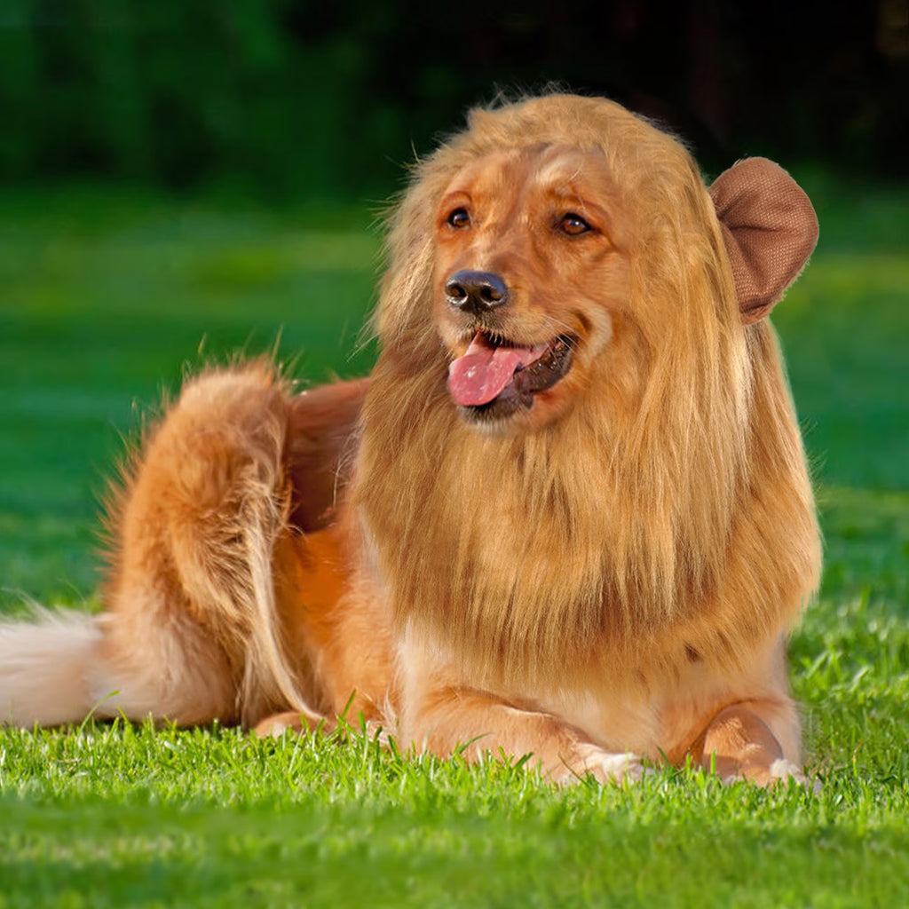 Large Dog Lion Mane with Tail Halloween Dog Costumes Fits Neck Size 13- 29.13 Inch Funny Accessories for Holidays