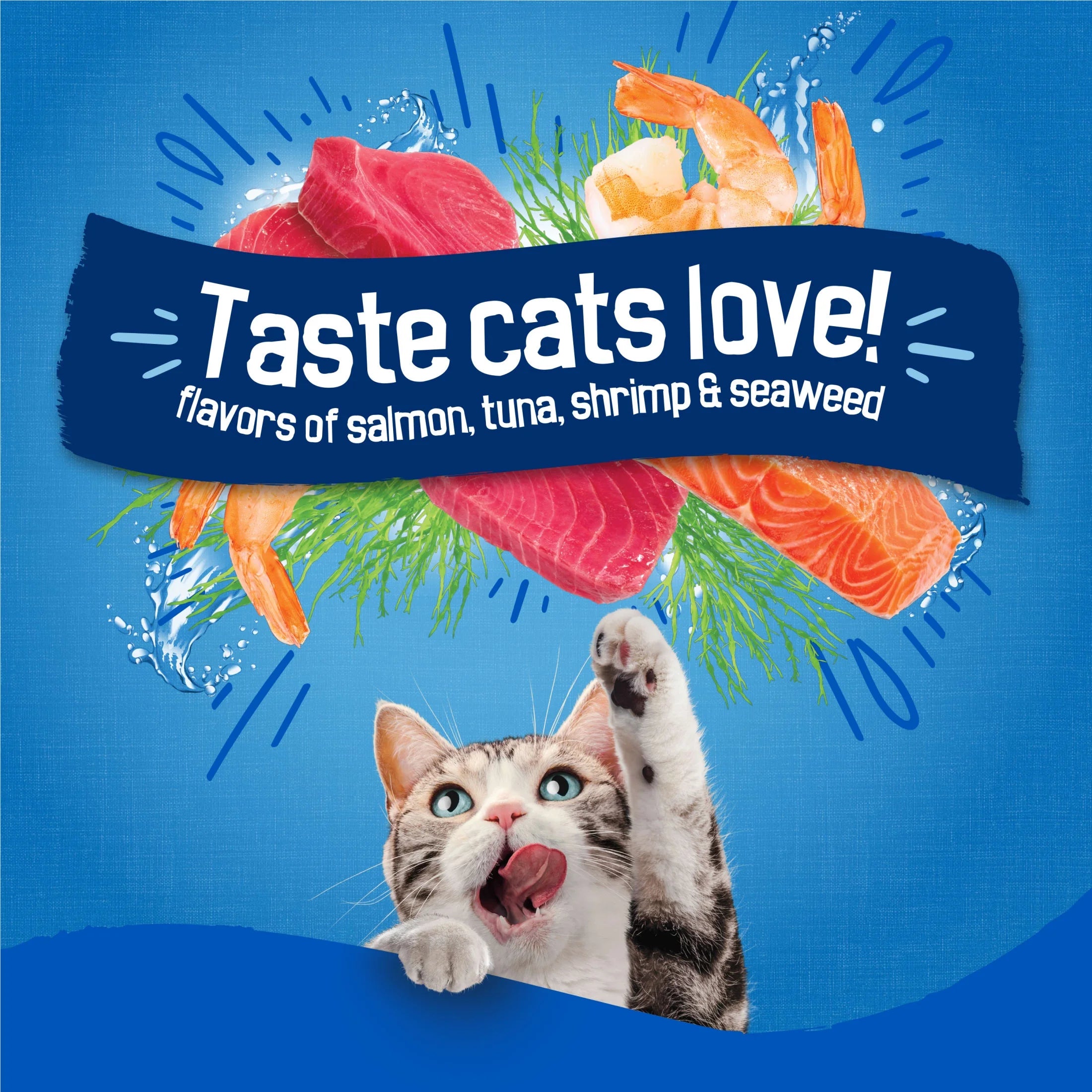 Purina  Dry Cat Food Seafood Sensations with Salmon, Tuna, and Shrimp Flavors, 16 Lb Bag