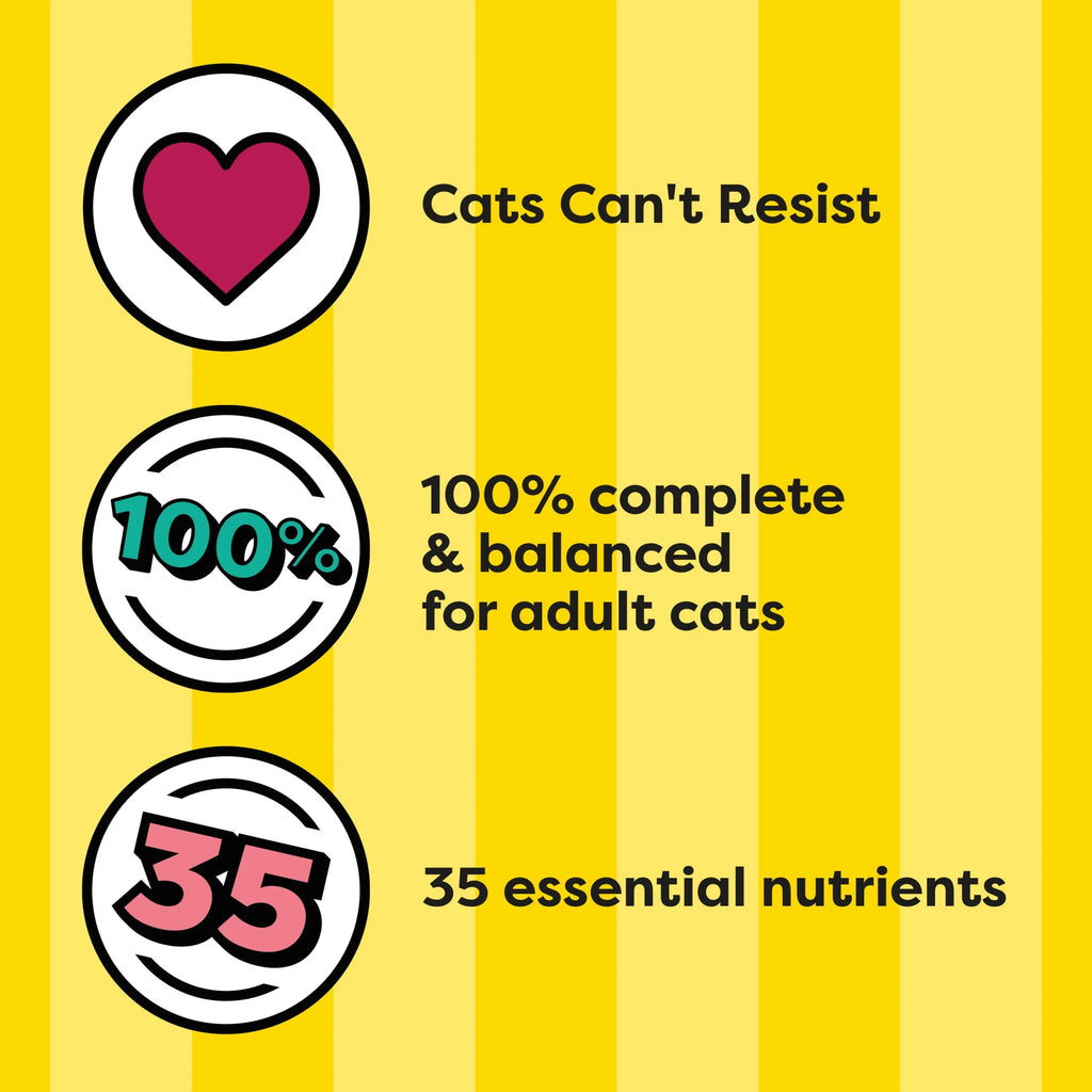 Tasty Chicken Flavor Dry Cat Food, 3.15 Lb Bag
