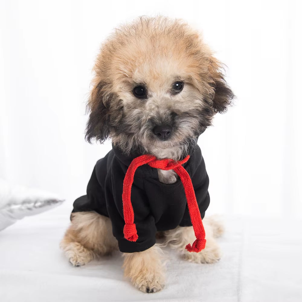 Cool Black Luxury Pet Clothing with Paw Print Design Washable Pet Clothes